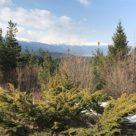 Borovets Hills Apartments - Evergreen Suite 외부 사진