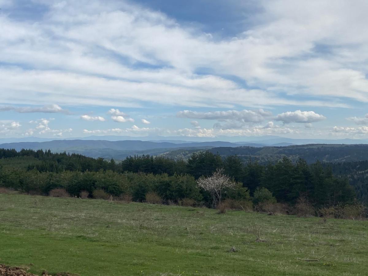 Borovets Hills Apartments - Evergreen Suite 외부 사진